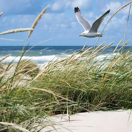 Cozy Escape Knokke-Heist