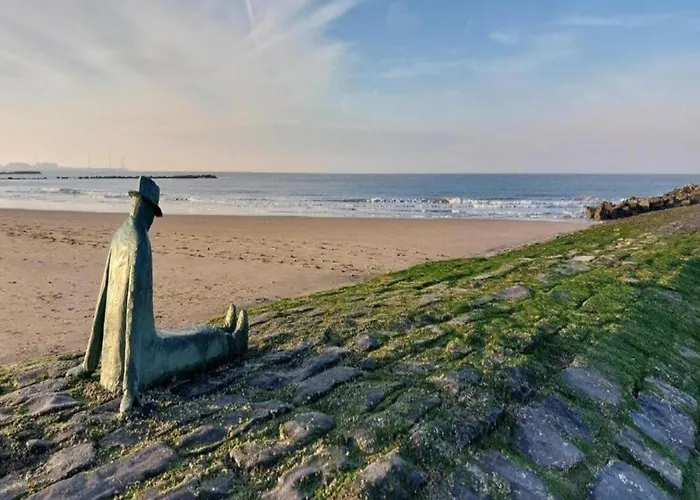 Cozy Escape Appartement